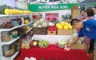 Huyện Nga Sơn tham gia gian hàng trưng bày giới thiệu sản phẩm nông sản, thực phẩm an toàn tại Trung tâm Triển lãm - Hội chợ - Quảng cáo tỉnh Thanh Hóa