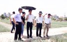 Huyện Nga Sơn đưa giống cây trồng mới vào liên kết sản xuất, bao tiêu sản phẩm trong vụ Đông năm 2019-2020