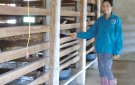 Nga Tiến: Mô hình nuôi hươu sao lấy nhung đem lại giá trị kinh tế cao