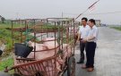 Nga Sơn kiểm tra công tác phòng chống bệnh dịch tả lợn châu Phi